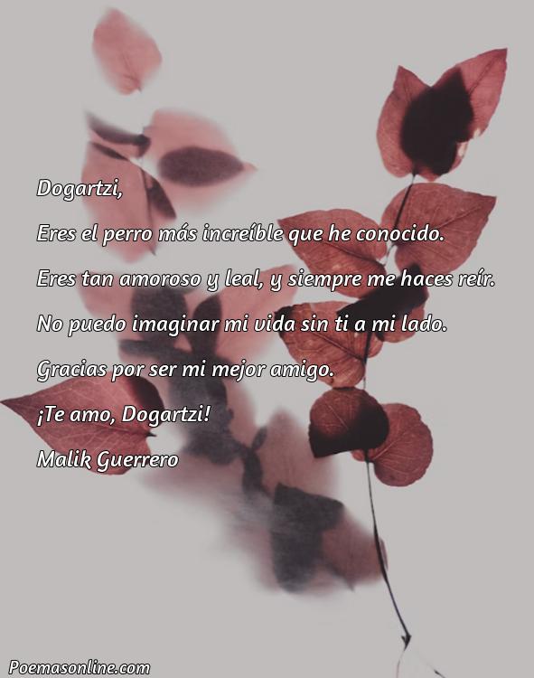 5 Poemas para Dogartzi
