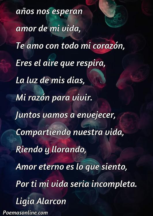 5 Mejores Poemas Para El Amor De Mi Vida Largos Poemas Online 8072