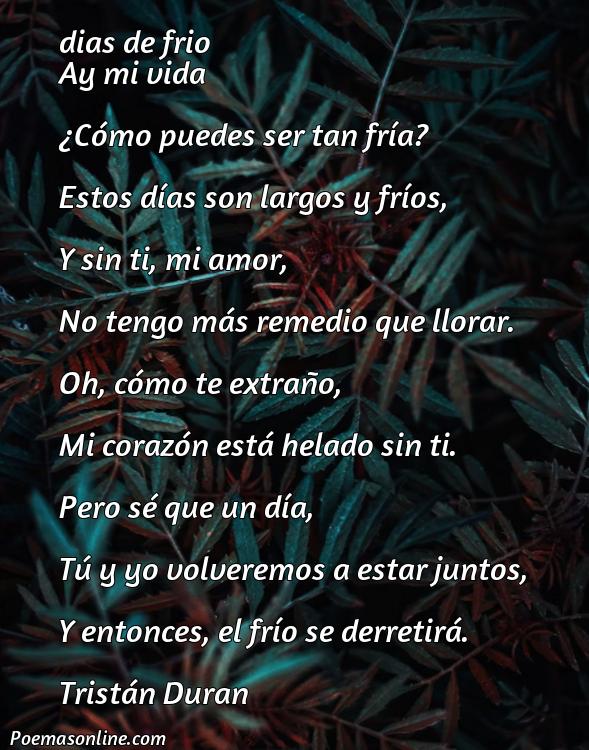 Corto Poema para el Amor de mi Vida Largos, Poemas para el Amor de mi Vida Largos