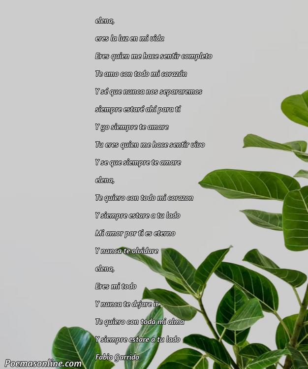 5 Poemas para Elena