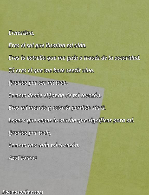 Hermoso Poema para Ernestina, Cinco Poemas para Ernestina