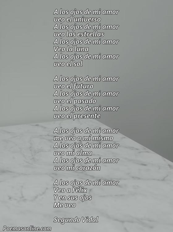Hermoso Poema para Félix, Poemas para Félix