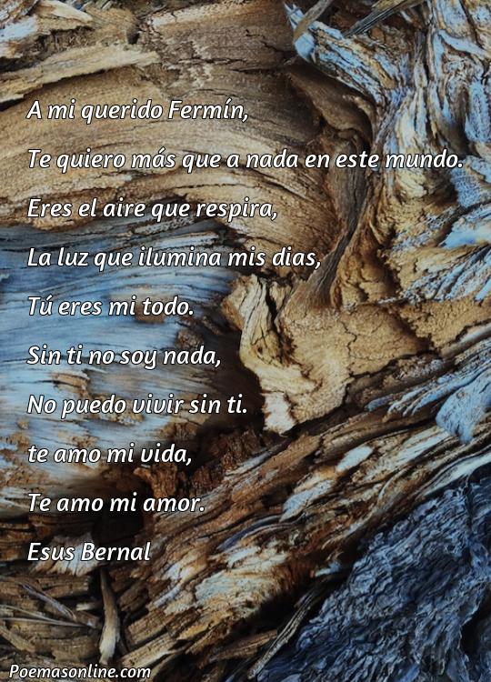 Inspirador Poema para Fermín, Cinco Poemas para Fermín