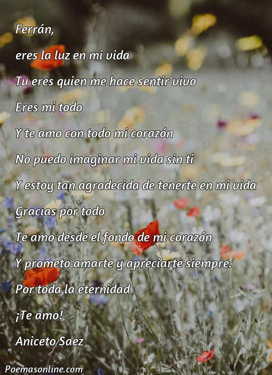 Inspirador Poema para Ferran, Cinco Mejores Poemas para Ferran