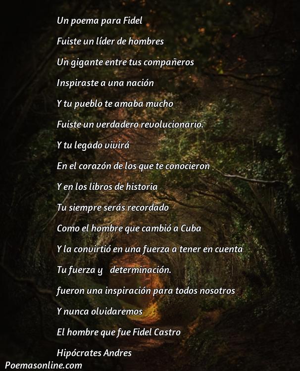Reflexivo Poema para Fidel, 5 Poemas para Fidel