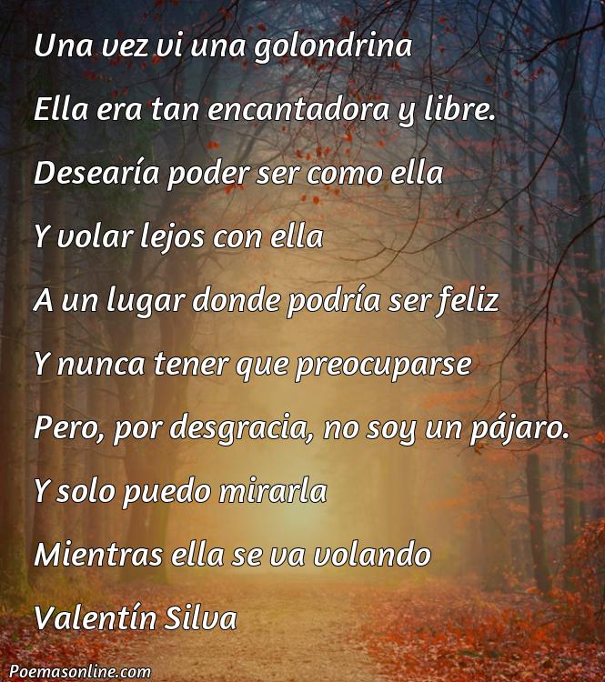 Mejor Poema para Golondrina, 5 Poemas para Golondrina