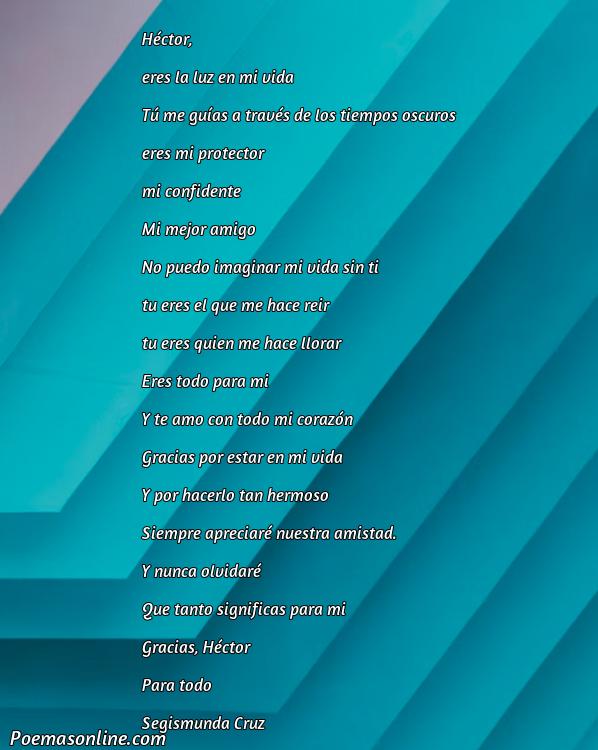 Reflexivo Poema para Héctor, 5 Mejores Poemas para Héctor
