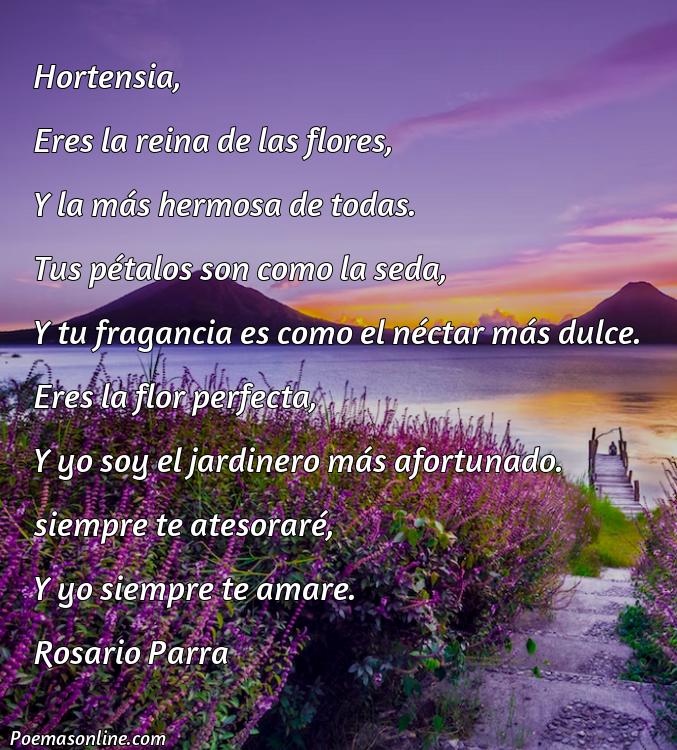 Mejor Poema para Hortensia, Cinco Poemas para Hortensia