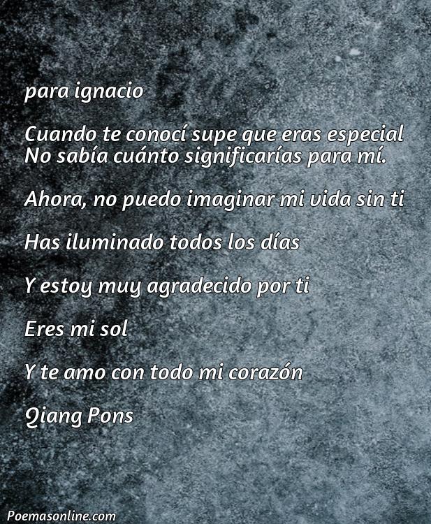 Reflexivo Poema para Ignacio, 5 Mejores Poemas para Ignacio