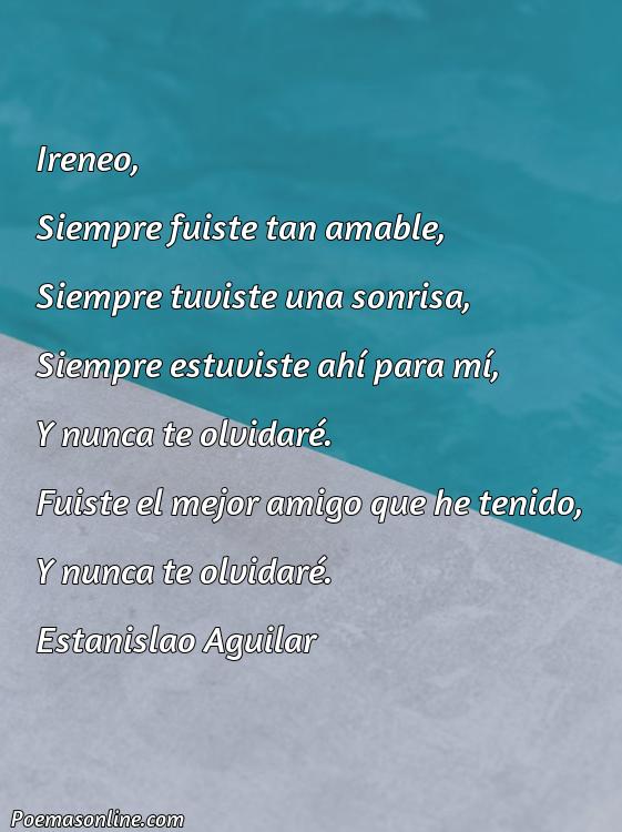 Lindo Poema para Ireneo, Poemas para Ireneo