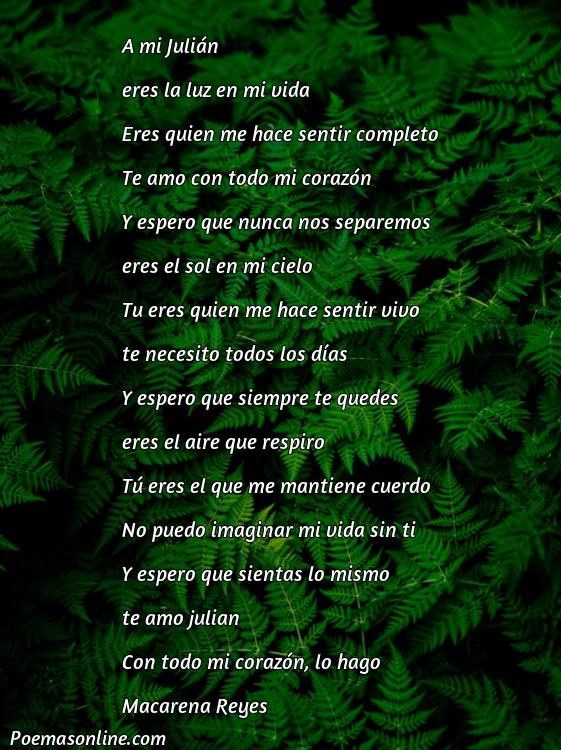 Excelente Poema para Julián, Cinco Poemas para Julián