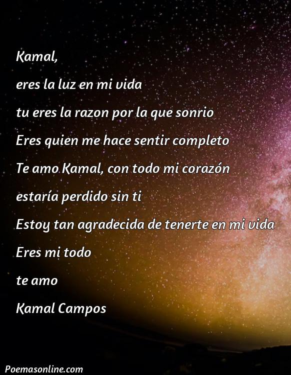 Lindo Poema para Kamal, Poemas para Kamal