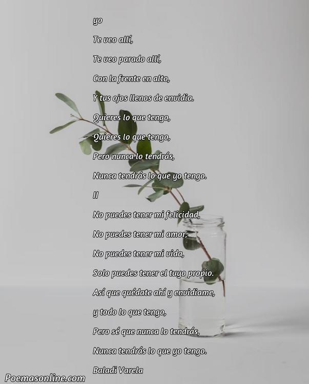 Hermoso Poema para la Envidia, 5 Poemas para la Envidia