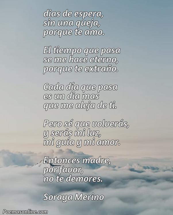 Lindo Poema para la Madre Largos, Cinco Poemas para la Madre Largos