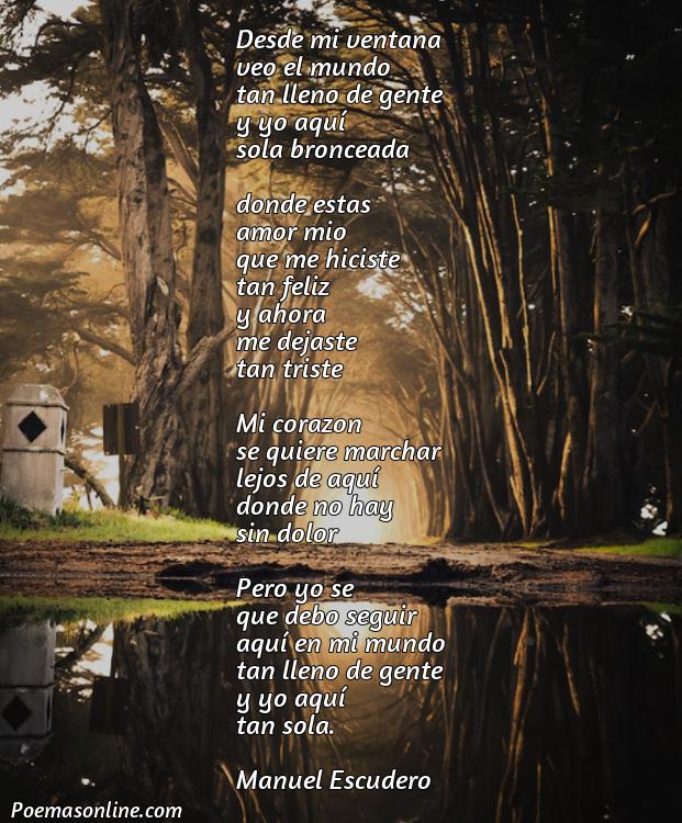 Lindo Poema para la Soledad, Cinco Poemas para la Soledad