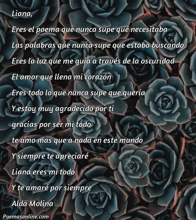 Hermoso Poema para Liana, 5 Poemas para Liana