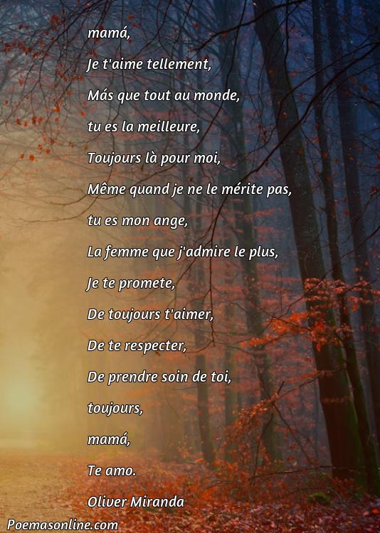 Cinco Poemas para Mama en Francés