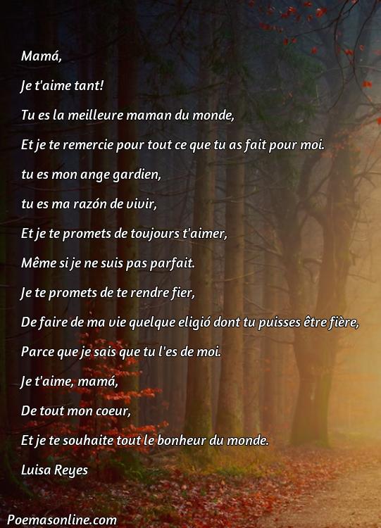 Corto Poema para Mama en Francés, Poemas para Mama en Francés