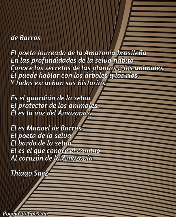 Cinco Poemas para Manoel