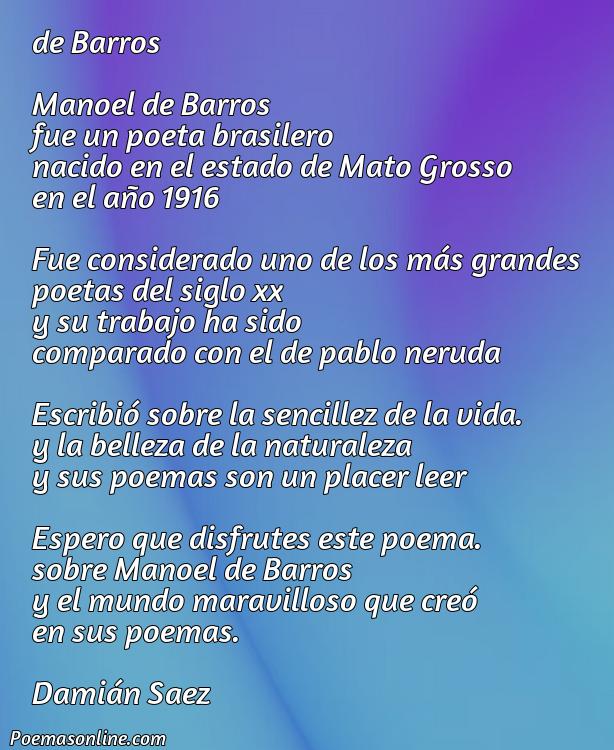 Hermoso Poema para Manoel, Poemas para Manoel