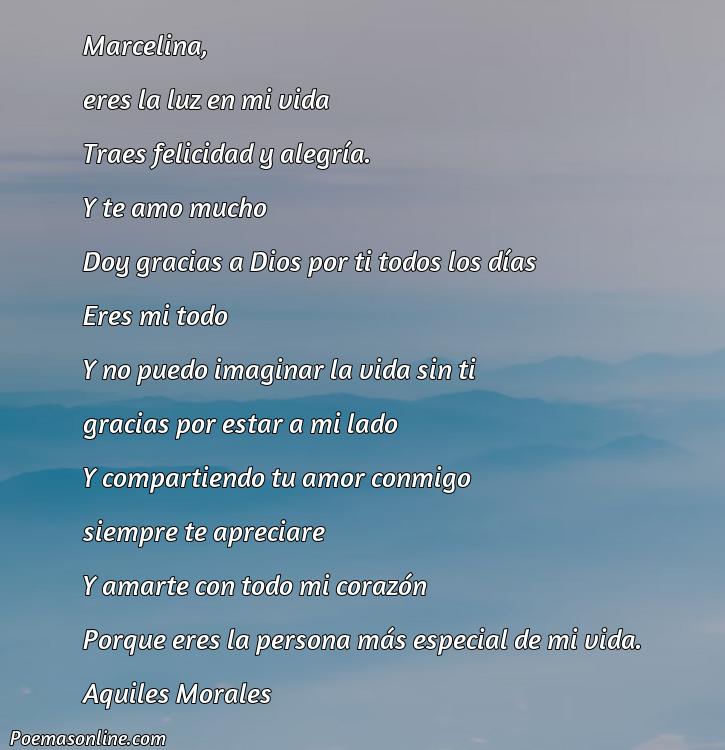 Reflexivo Poema para Marcelina, Poemas para Marcelina