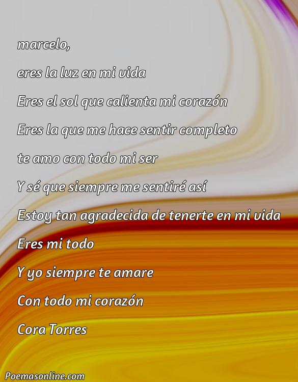 Lindo Poema para Marcelo, Poemas para Marcelo