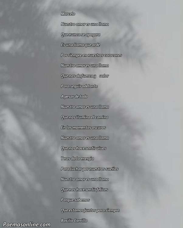 Lindo Poema para Marcelo, 5 Poemas para Marcelo