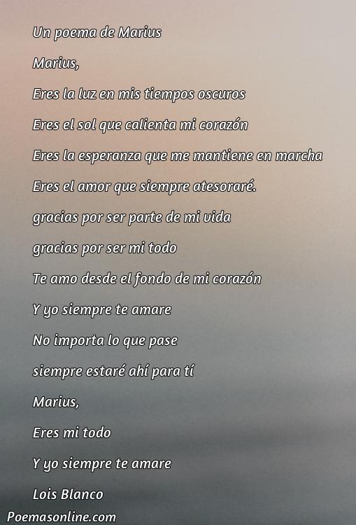 5 Mejores Poemas para Marius