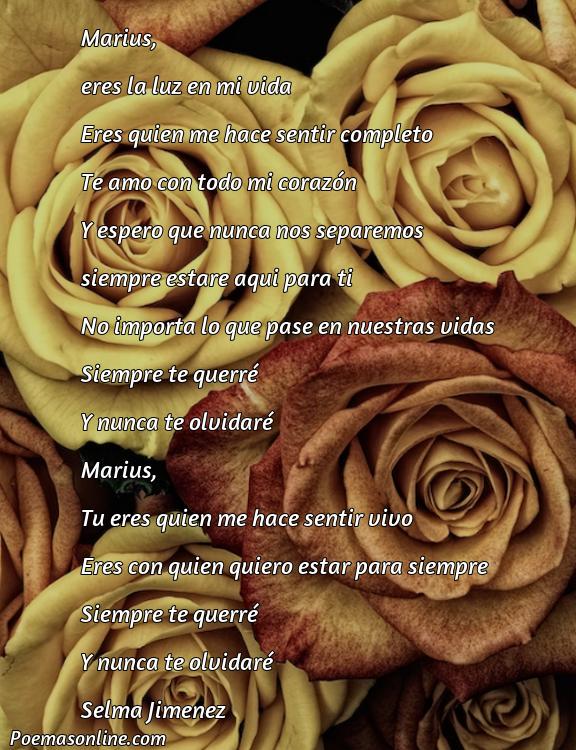 Reflexivo Poema para Marius, 5 Mejores Poemas para Marius