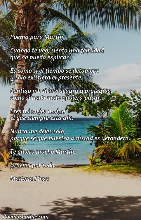 Corto Poema para Martín, Poemas para Martín
