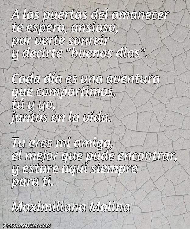 Reflexivo Poema para Martín, Poemas para Martín
