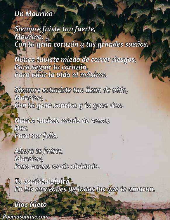 Reflexivo Poema para Maurino, Cinco Mejores Poemas para Maurino