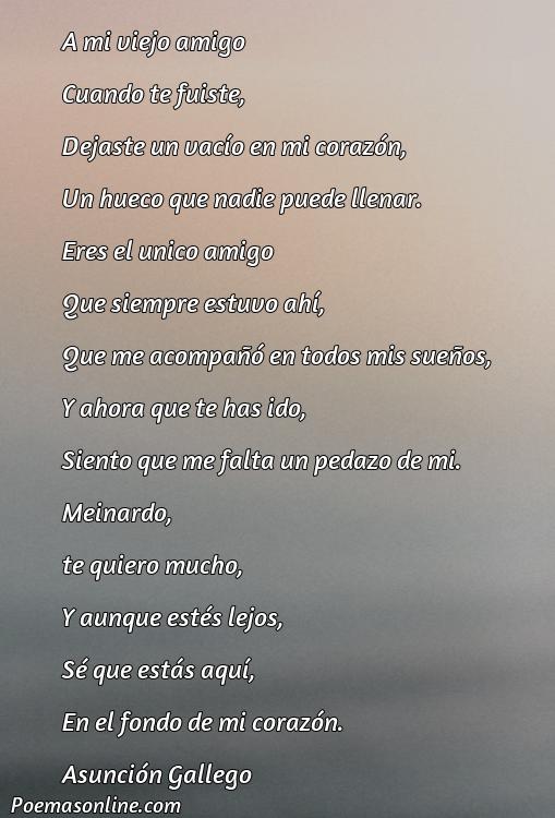 5 Poemas para Meinardo
