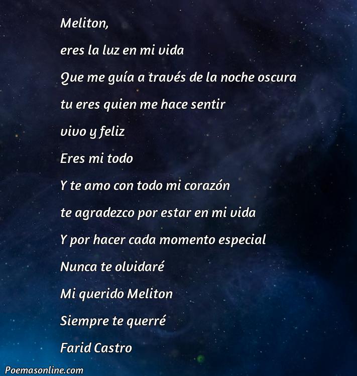 Hermoso Poema para Melitón, Cinco Mejores Poemas para Melitón