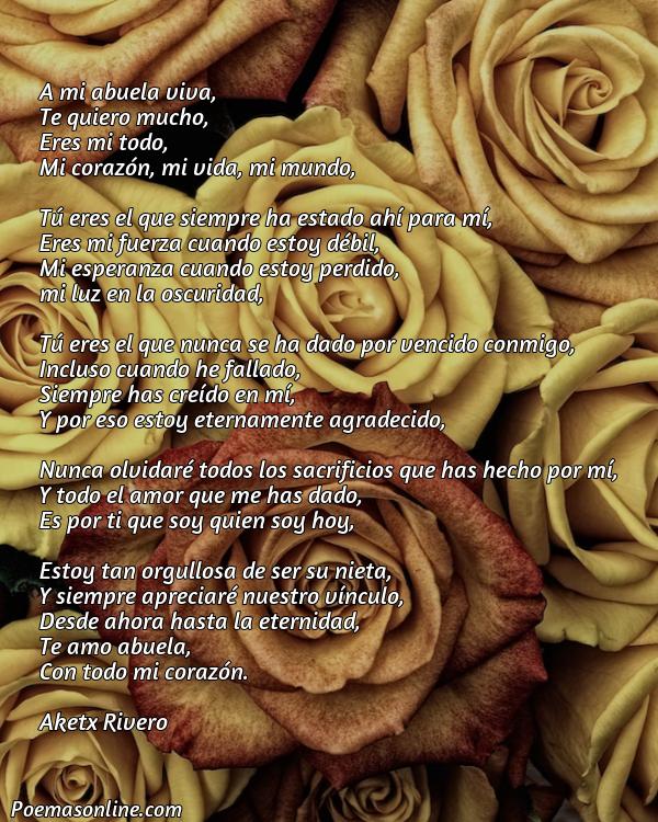 Lindo Poema para mi Abuela Viva, 5 Mejores Poemas para mi Abuela Viva