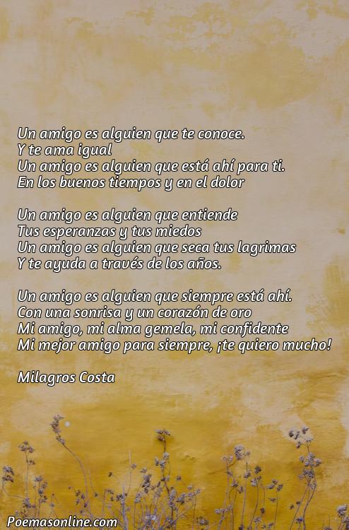 Corto Poema para mi Amiga del Alma, Cinco Poemas para mi Amiga del Alma