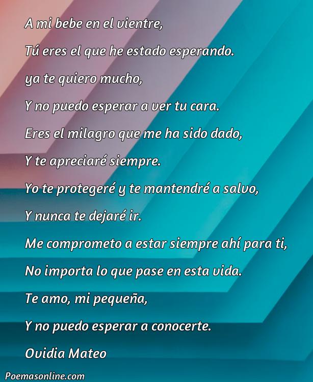 Lindo Poema para mi Bebe en el Vientre, Poemas para mi Bebe en el Vientre