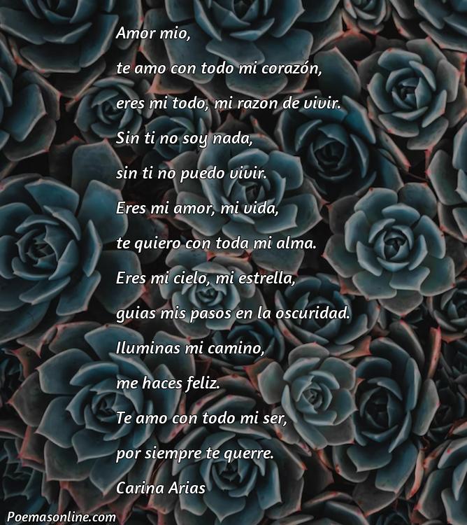 Mejor Poema para mi Pareja de Amor, Poemas para mi Pareja de Amor