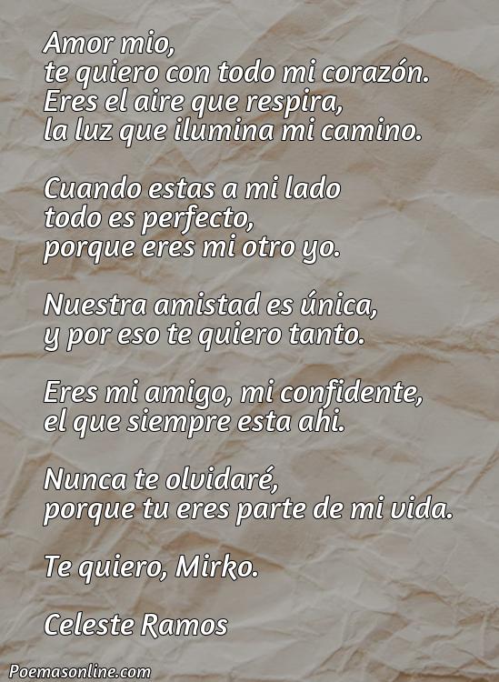 Hermoso Poema para Mirko, Poemas para Mirko