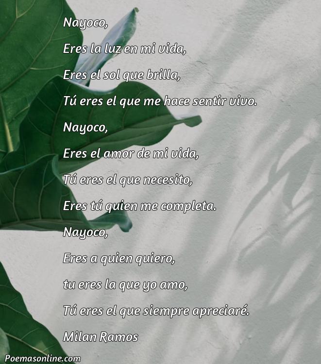 Hermoso Poema para Nayoco, Cinco Mejores Poemas para Nayoco