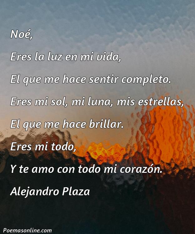 Lindo Poema para Noah, Poemas para Noah