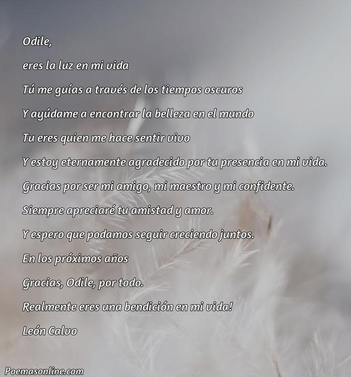 5 Poemas para Odile