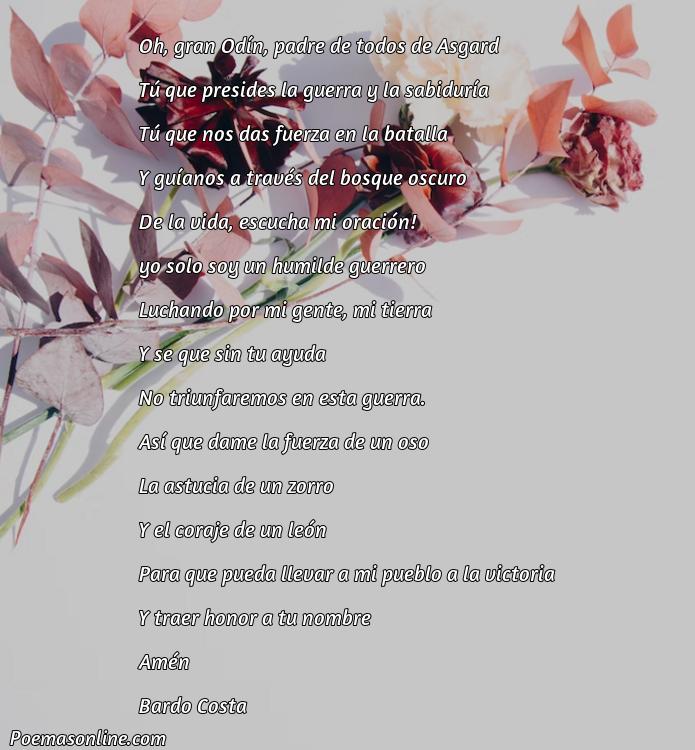 Cinco Poemas para Odín