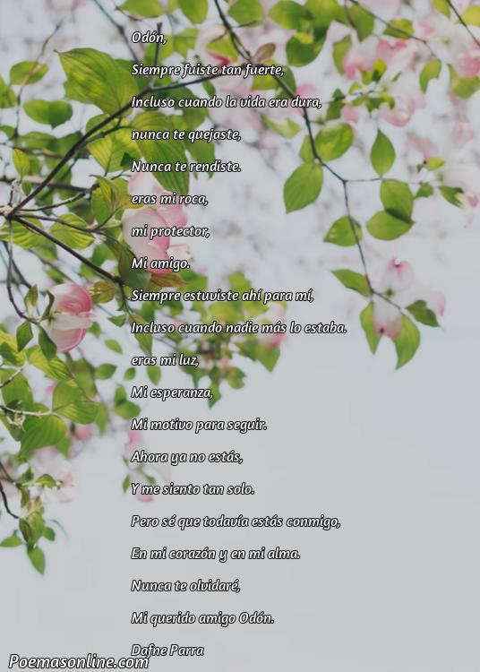 Lindo Poema para Odón, 5 Poemas para Odón
