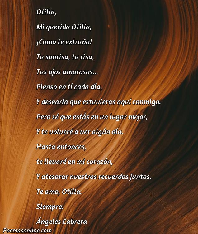 Excelente Poema para Otilia, Poemas para Otilia