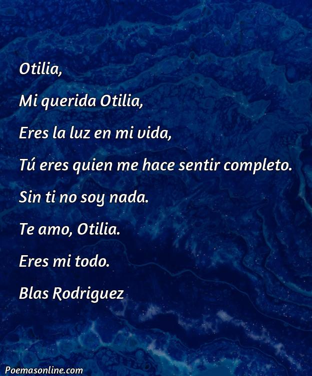 Corto Poema para Otilia, 5 Mejores Poemas para Otilia