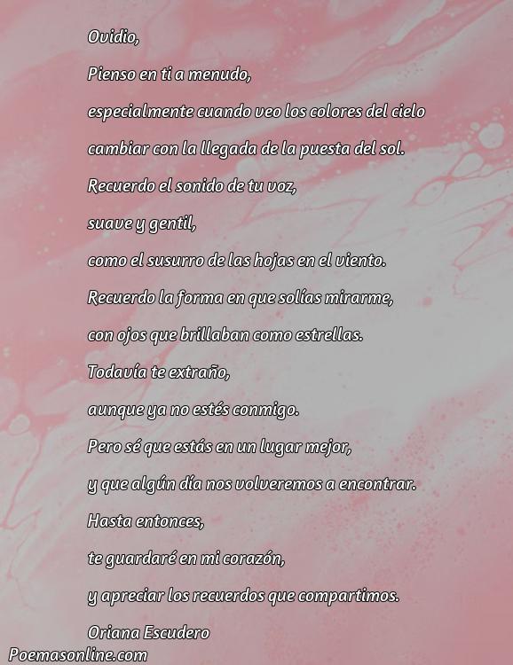 5 Poemas para Ovidia