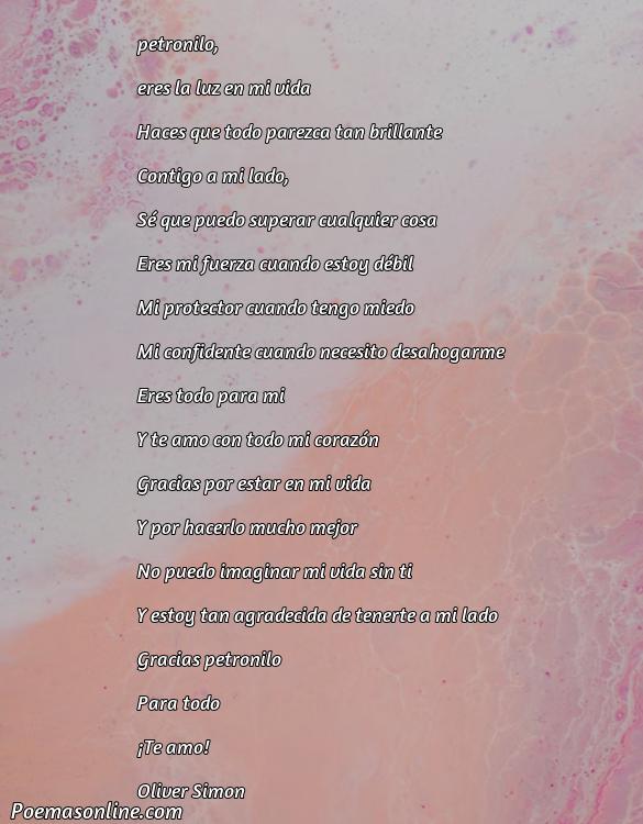 Hermoso Poema para Petronilo, Cinco Poemas para Petronilo