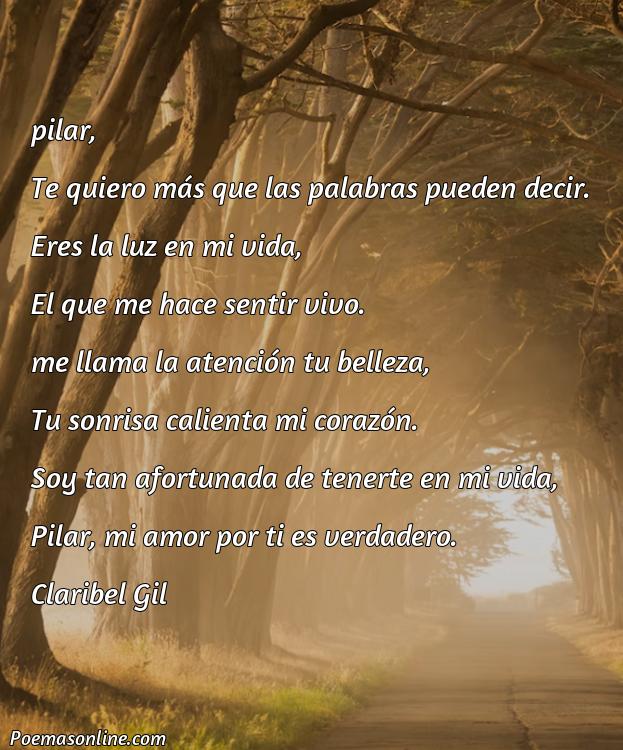 Hermoso Poema para Pilar, Poemas para Pilar