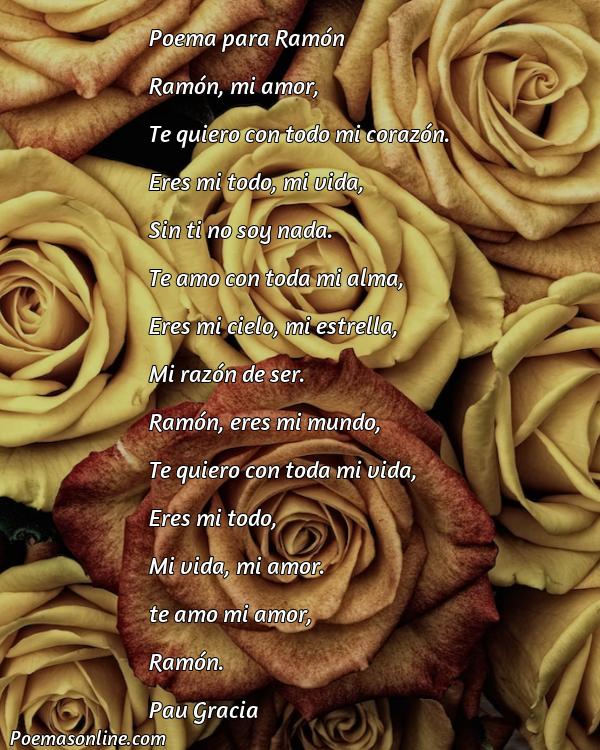 Hermoso Poema para Ramón, Poemas para Ramón